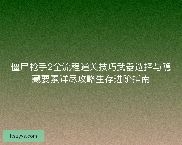 僵尸枪手2全流程通关技巧武器选择与隐藏要素详尽攻略生存进阶指南